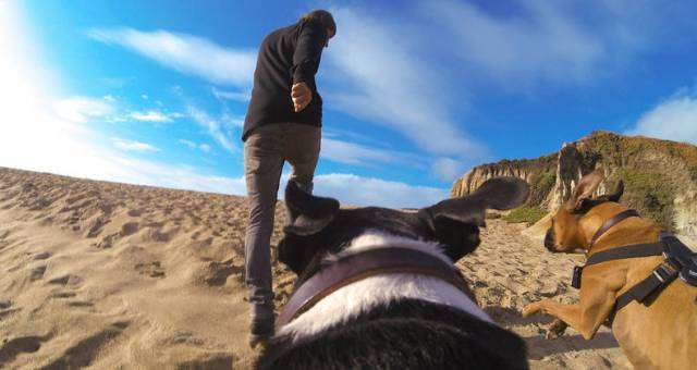Известная фирма GoPro, выпускающая фотокамеры специально для экстремальных съемок, теперь производит и реализует запатентованную камеру, которую можно будет прикрепить к ошейнику или шлейке вашего пса.