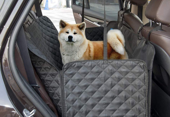 Как перевозить домашних животных в машине