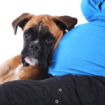 Собака и беременность: опасность для здоровья или будущий компаньон для игр?