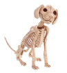 Влияние питания на развитие патологии скелета у собак