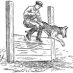 Как приучить собаку преодолевать препятствия