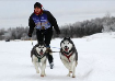 Катание на лыжах с собакой, или, просто - скиджоринг