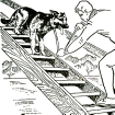 Как приучить собаку преодолевать лестницу