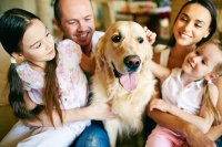 5 самых подходящих пород собак для семей с детьми