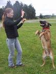 Фристайл - танец с собакой
