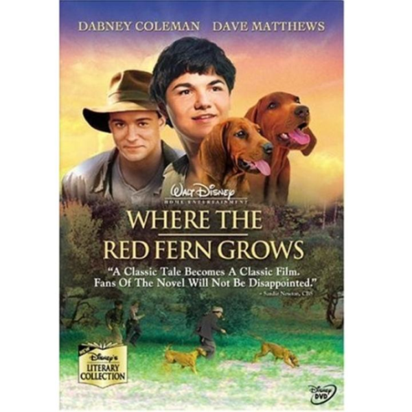 Цветок красного папоротника, описание фильмов, фильмы про собак