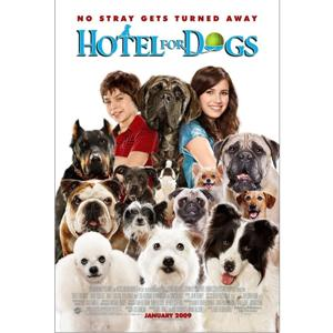 фильмы про собак, обзор фильмов, отель для собак, фильм отель для собак