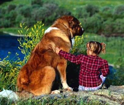 Как ребёнку вести себя с незнакомыми животными, поведение собак, как подружиться с собакой, как подойти к собаке