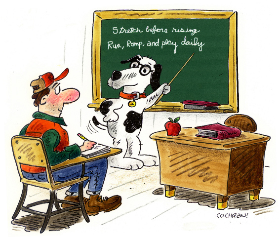 собака учитель, чему можно научиться у собаки