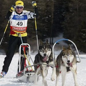 скипуллинг, спорт с собакой, зимний спорт, гонки с собаками