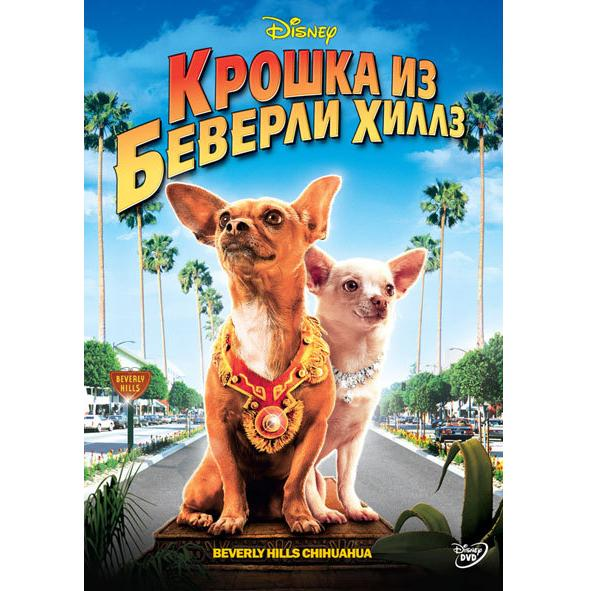 Крошка из Беверли-Хиллз, фильмы про собак, описание фильма