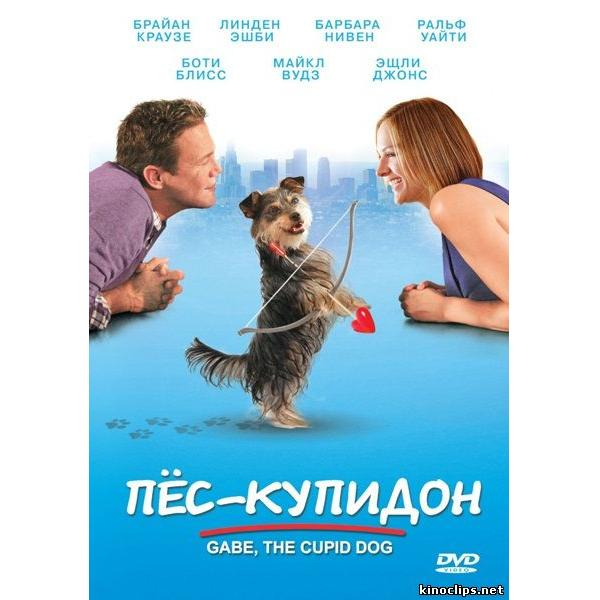 Пёс - Купидон, описание фильма, фильмы про собак