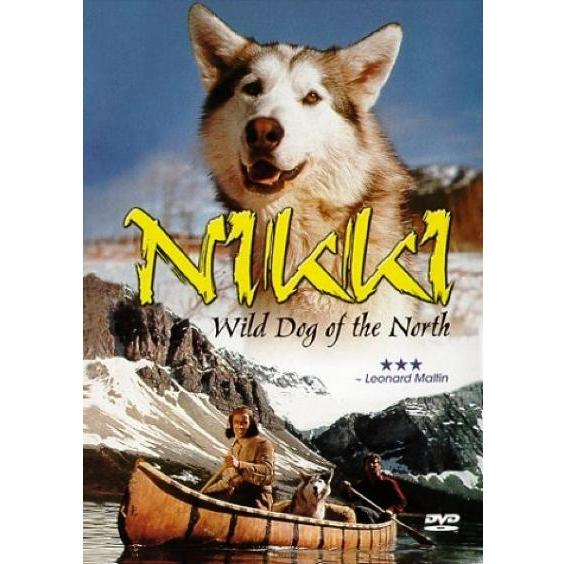 Дикий пес севера, Ники, описание фильма, фильмы про собак, Странники севера