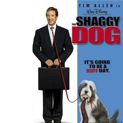 Мохнатый пес, фильм про собак, фильм с участием собаки, описание фильма