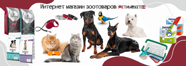 Зоотовары для домашных животных https://petmarket24.ru/