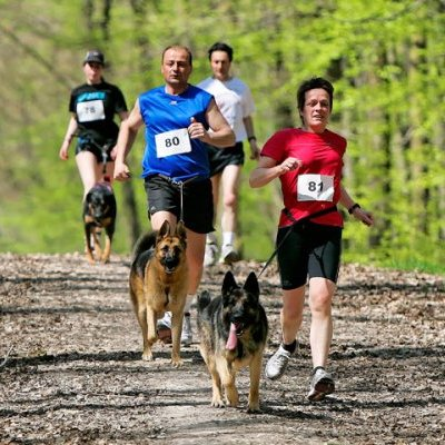 собака, спорт, каникросс, бег с собакой, занятия с собакой